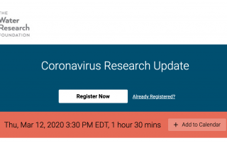 Coronavirus research update