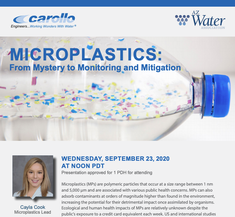 Microplastics flyer
