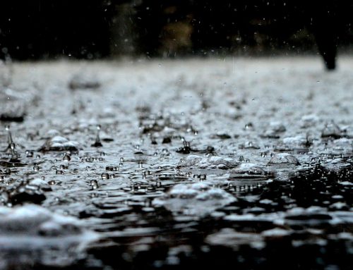 PFOA in rain worldwide exceeds EPA advisory level!